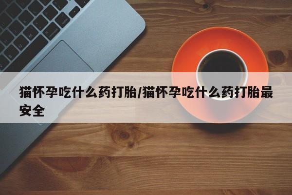 哪里有米索前列醇片猫怀孕吃什么药打胎/猫怀孕吃什么药打胎最安全